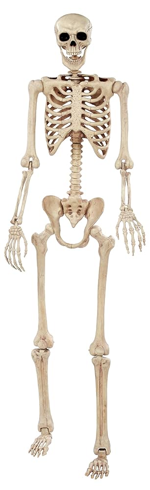 藤井保　SKELETON 藤井保 SKELETON Nostalgic I Spy Poseable Skeleton Toy